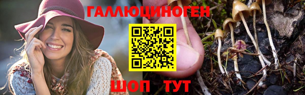 Псилоцибиновые грибы мухоморы  Галлюциногенные грибы MAGIC MUSHROOMS  Вход с VPN  Усинск 